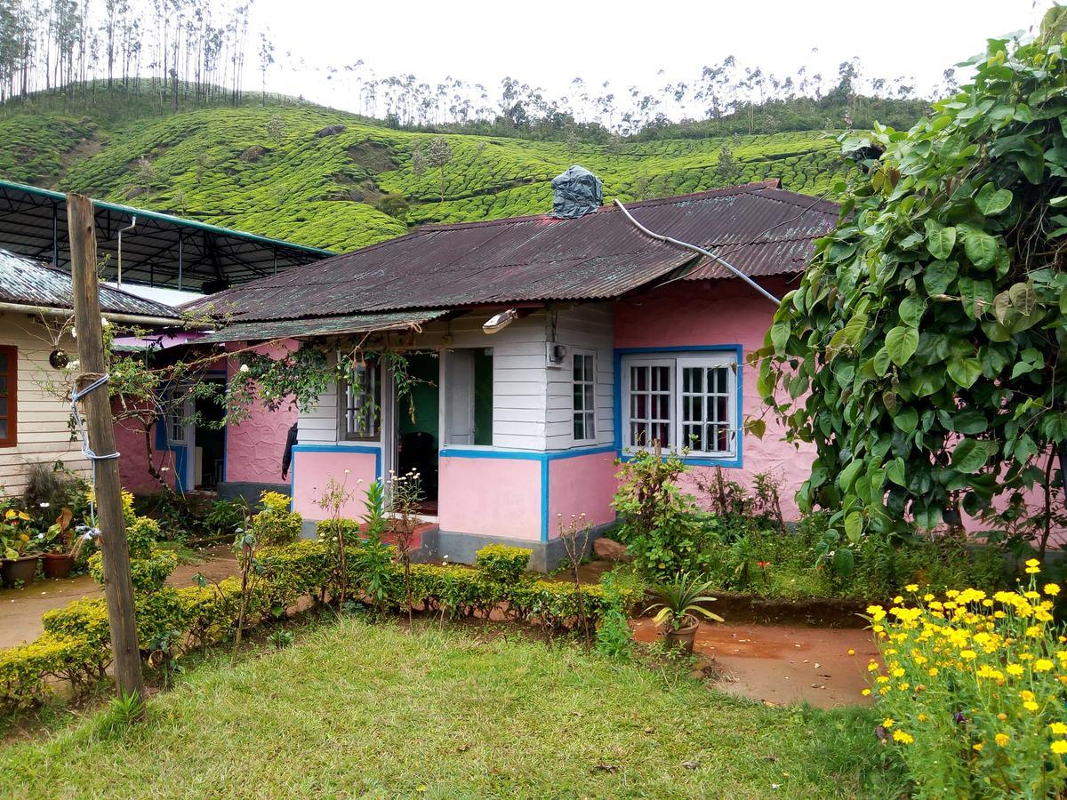 Zina Cottage Munnar Buitenkant foto